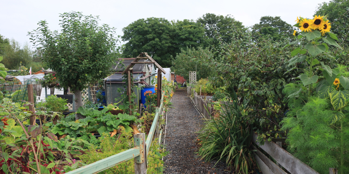 Allotment pathway